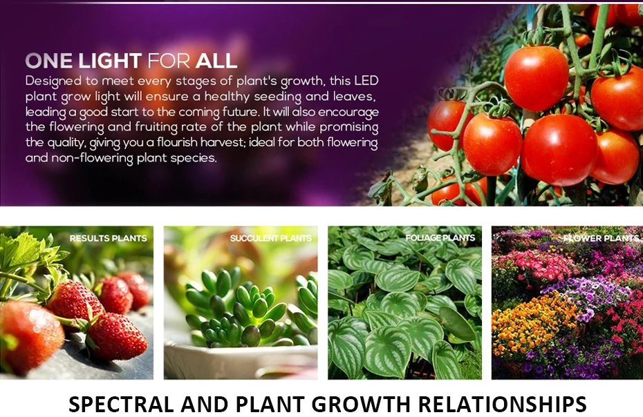 Лампа для выращивания 10 Вт 30 Вт 50 Вт 80 Вт фитолампа полный спектр светодиодный светильник для выращивания Красный Синий УФ ИК светодиодный светильник для растений гидропоника цветы овощи