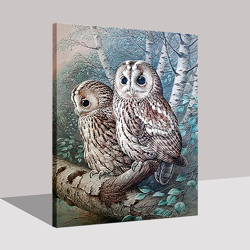 сова в цветах акварель. филин картины. картина по номерам филин. картины по номерам на холсте совы. сова сипуха картина по номерам.