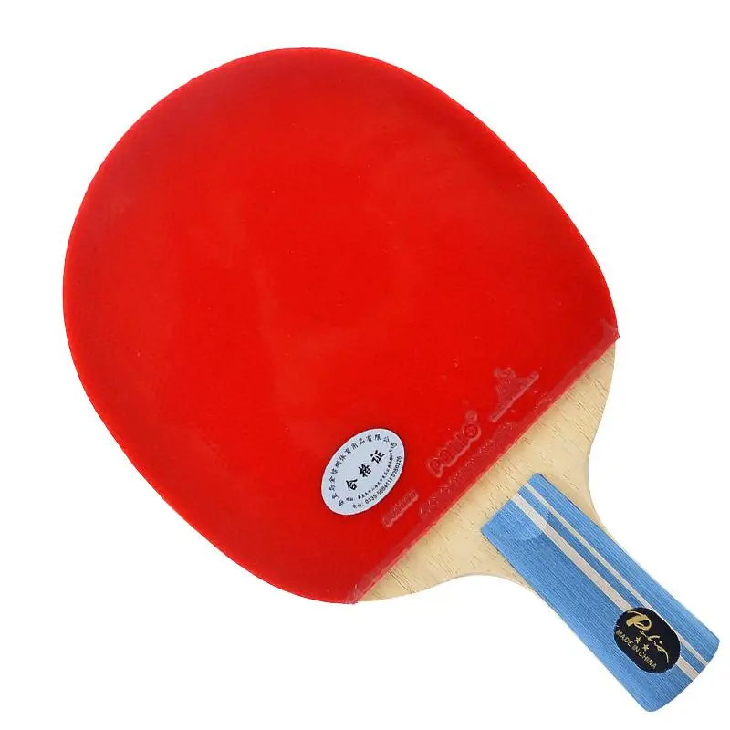 Ракетка DHS Racket 6002