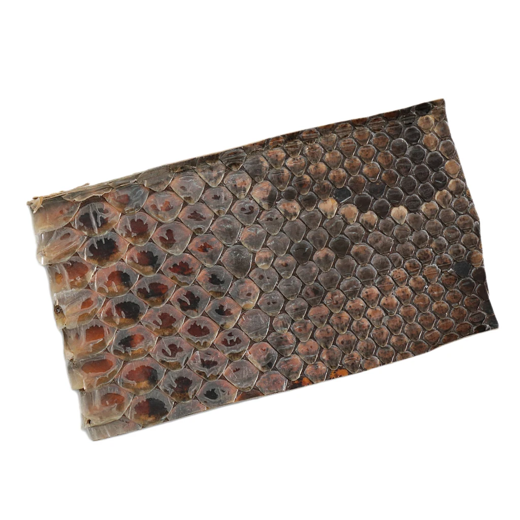 

Erhu Side Skin Snakeskin for Erhu-player Erhu Protective Parts Erhu Fiddle DIY Accessory Chinese Traditional Musical Instrument