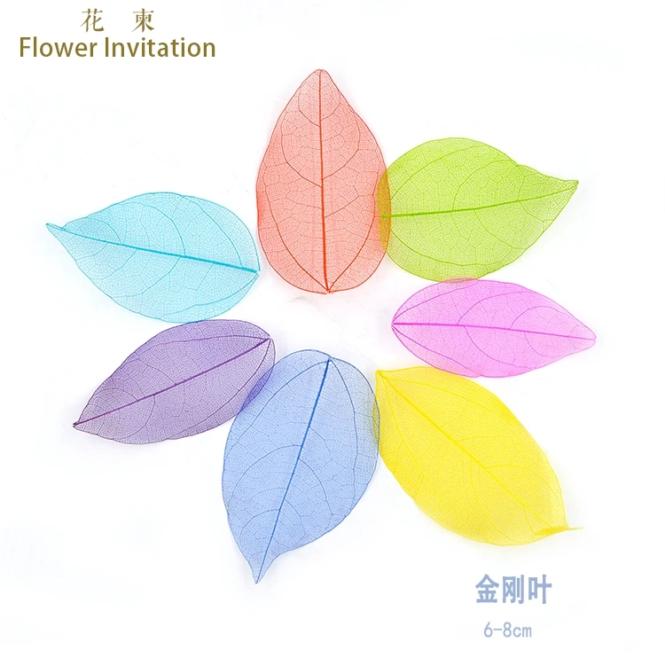 

Flower Invitation Small Veins_DIY Hand Dried Flowers, Plant Specimens, Leaves, Magnolia, Double Color Veins