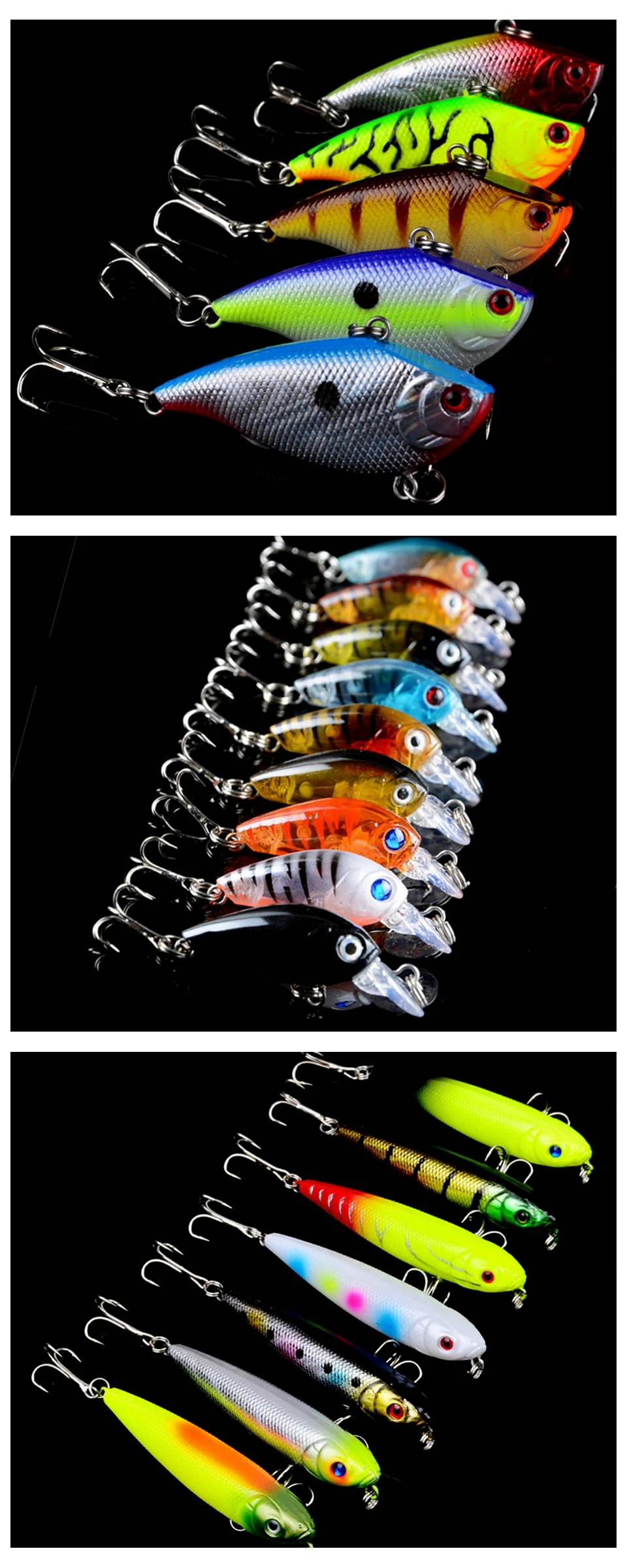 12313 (1)