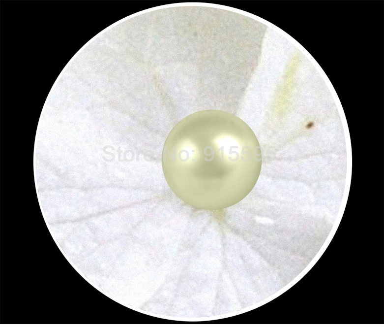 utensílios para pintura e tratamento de parede