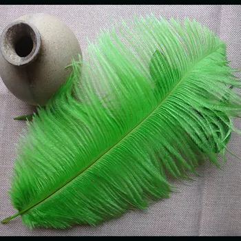 

100 PCS beautiful green natural ostrich feathers 30 to 35 cm / 12 to 14 inches decorative feather