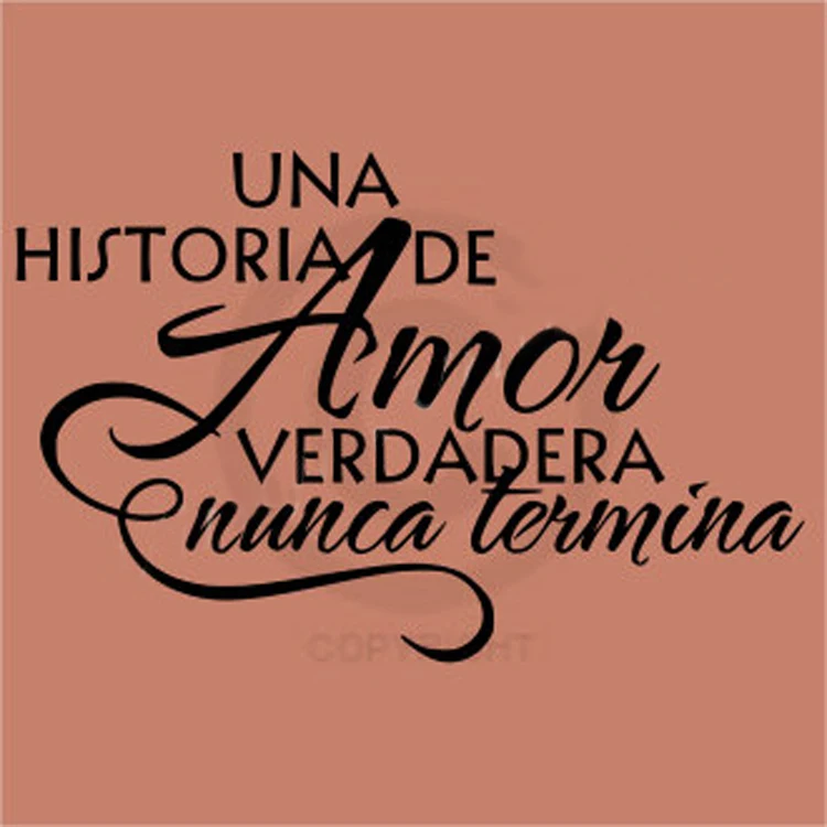 Spaans Citaat Una Historia De Amor Verdadera Nunca Termina 