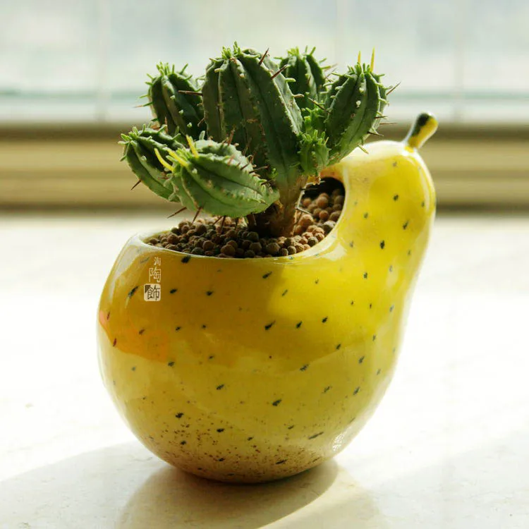 Горшок для суккулентов персонализированный горшок офисного дома балкона