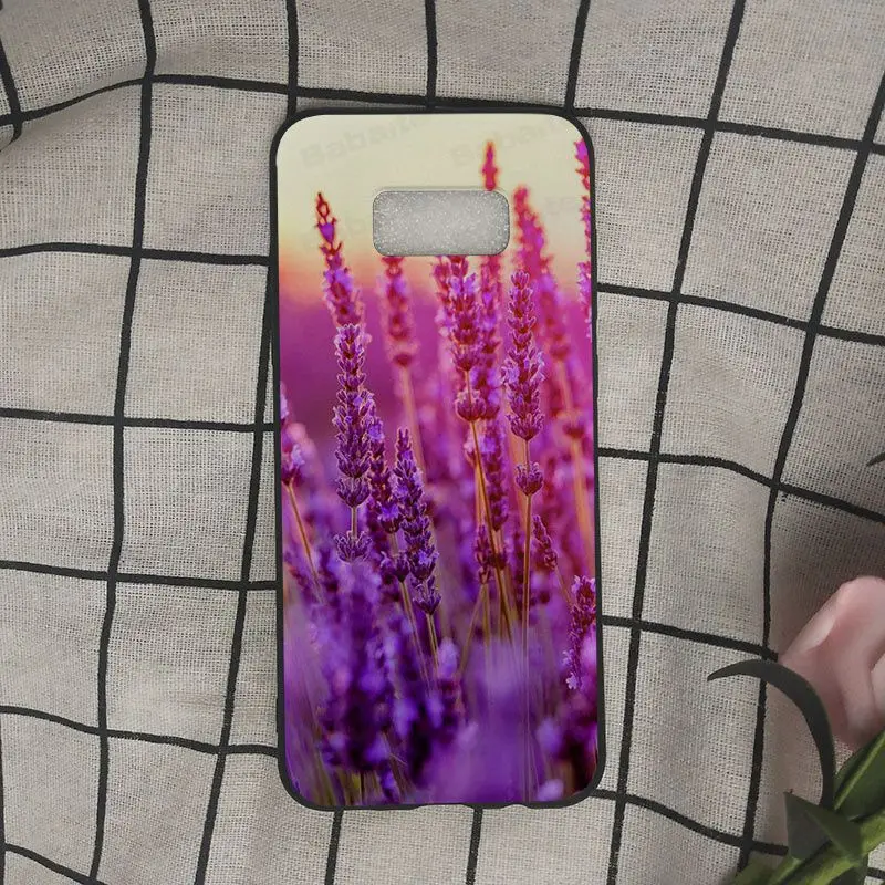 Simple lavender Purple flowers