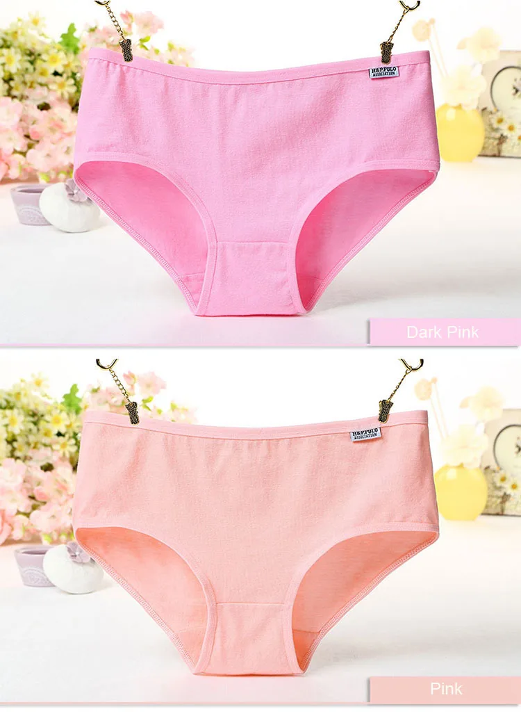 Free shipping 8pcslot New Women's Cotton Panties Girl Briefs Ms. Cotton Underwear Bikini Underwear Sexy Ladies Briefs (10)