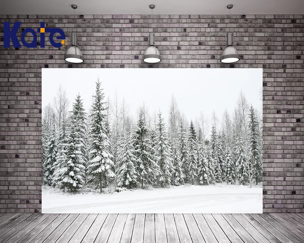 

Photography Kate Digital Printging Backgrounds Spectacular Cedar Forest Frozen Snow Winter Kate Background Backdrop
