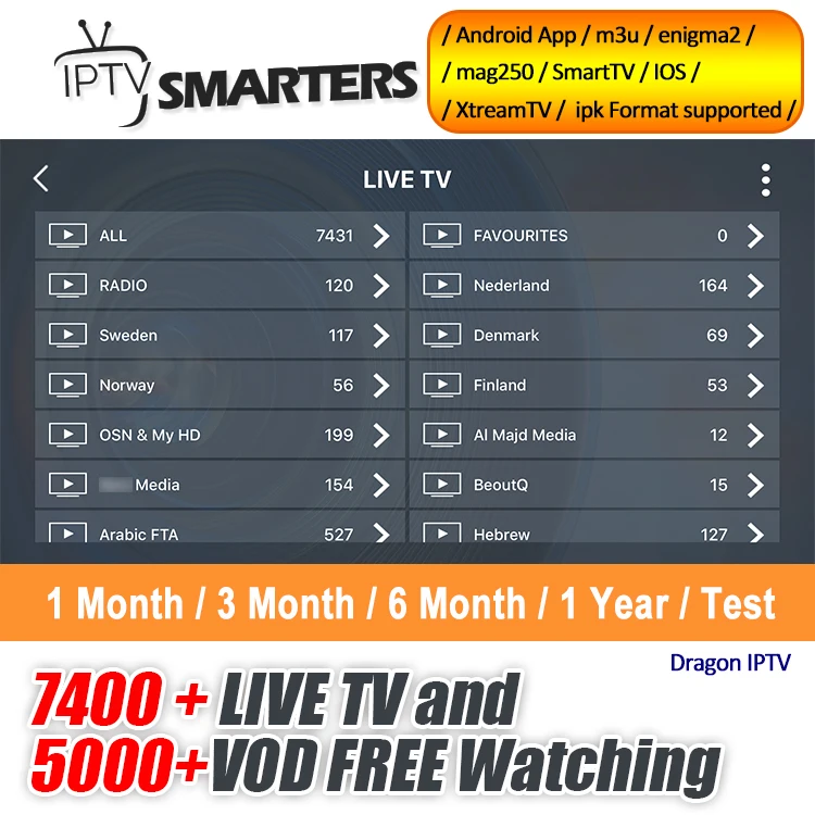 Czech IPTV Subscription Europe France Spain Italia Portugal IPTV Abonnement 7000+ live Channels For Android BOX m3u mag Smart TV