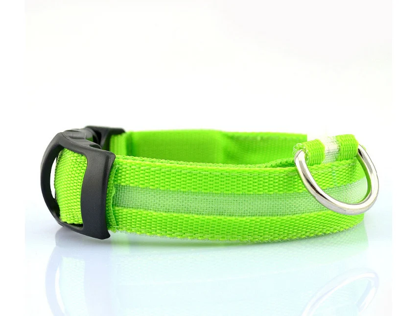 dog collar 1 (21)