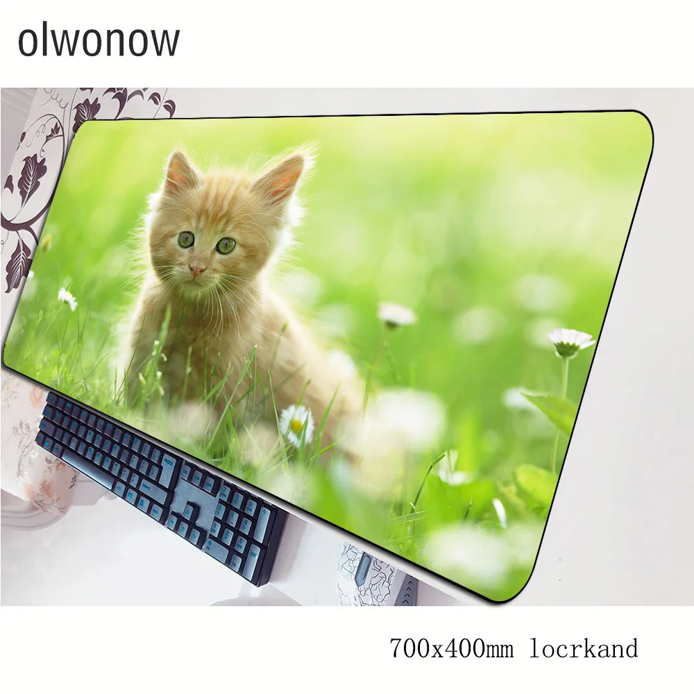 cute mousepad 700x400x3mm gaming mouse pad big gamer mat cheapest game computer desk padmouse keyboard large play mats | Компьютеры и