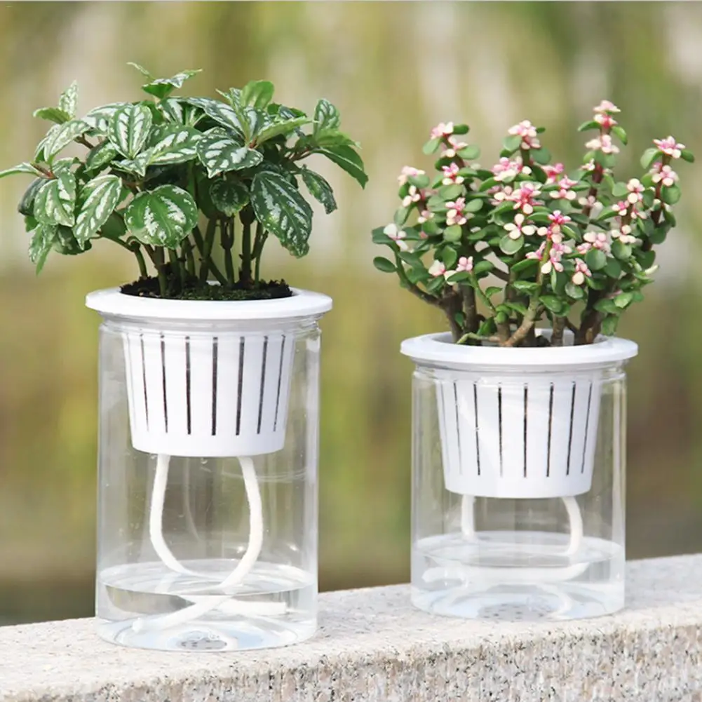 

5 PCS/Set Flower Pot Automatic Watering Absorption Transparent Round Plastic Hydroponic Flower Pot Resin Succulent Self Planters
