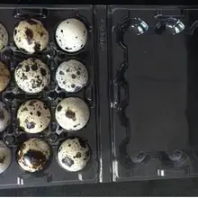 1000 шт./лот 12 отверстий перепелиные контейнеры для яиц пластиковые коробки для яиц D28 мм/h39 мм