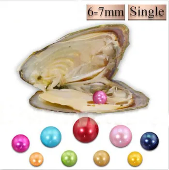 

Wholesale Freshwater Oysters with Colored Pearls 6-7MM Round Dyed Akoya Single Pearl in Oyster Shell 20pcs/lot FP392