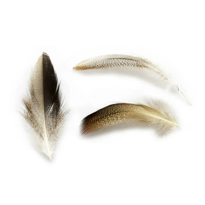 И розничная Длинные 6-12 см натуральные окрашенные DIY серые утиные перья для наращивания волос перья фазана вечерние украшения для свадьбы IF23