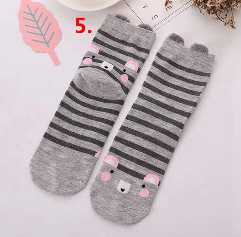 5_