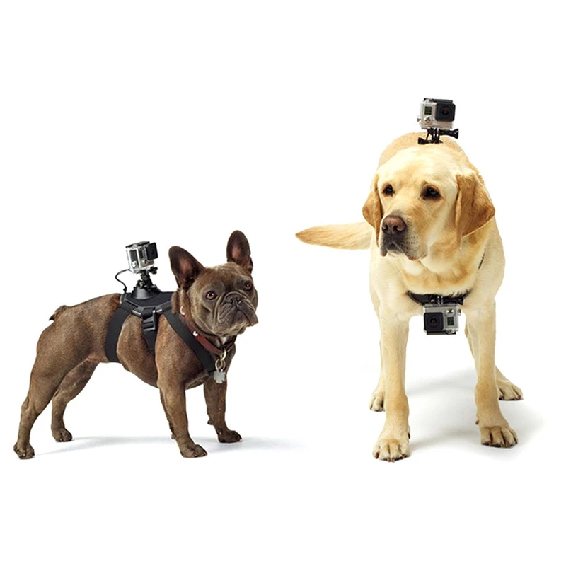 Регулируемый поводок для собак нагрудный ремень крепление для GoPro Hero 7 5 6 4 3 3+ SJCAM Xiaomi Yi аксессуары для экшн-камеры