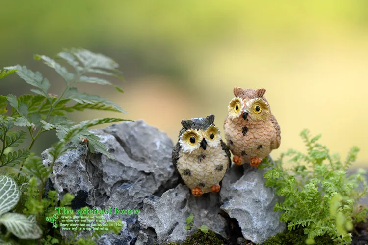 2102163598_394298364