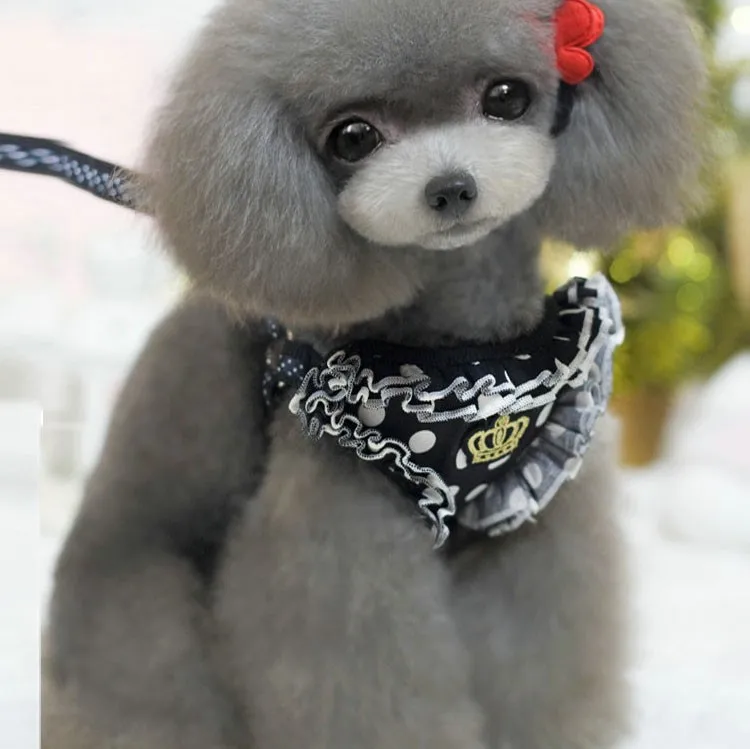 HTB1XIAlNVXXXXasXpXXq6xXFXXX0