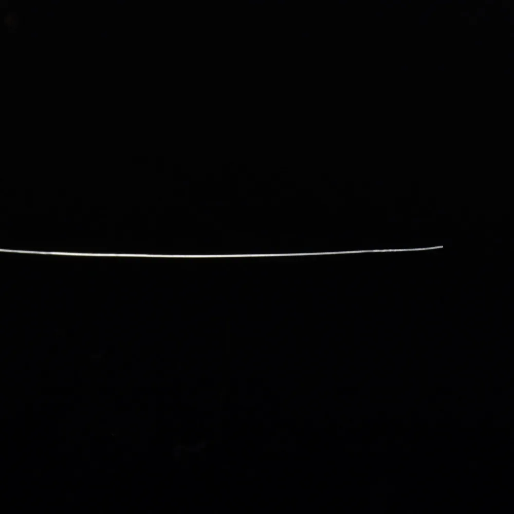 DSC_1347