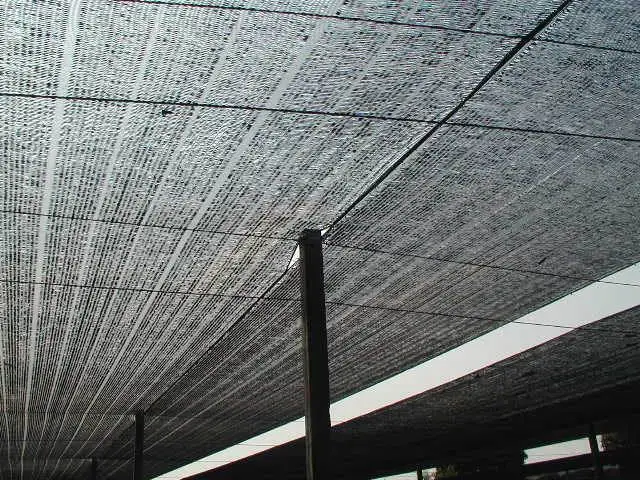 s-l1600 (6)