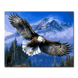 По номерам Diy фотографии Рисунок масляные краски ing Mountain животные Орел раскраска на холсте вручную рамки Стены Модульная книги искусству