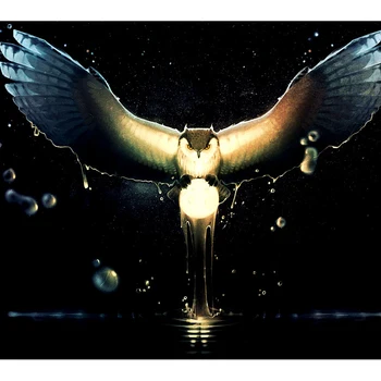 

Full Drill Square Diamond Embroidery owl 3D Diamond Painting Cross Stitch Home Decor DIY Diamond Mosaic Wall Painting HL729