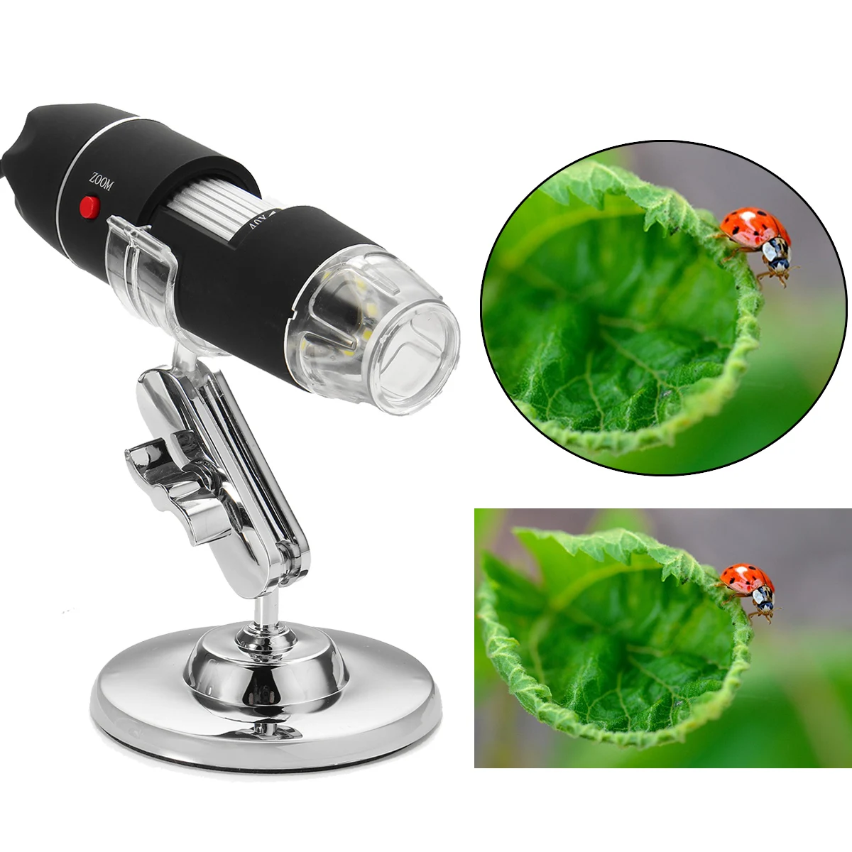 

2MP 1600X 8 LED USB2.0 Zoom Digital Microscope Hand held Biological Endoscope Vision Camera Video Stand