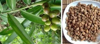 aeProduct.getSubject()