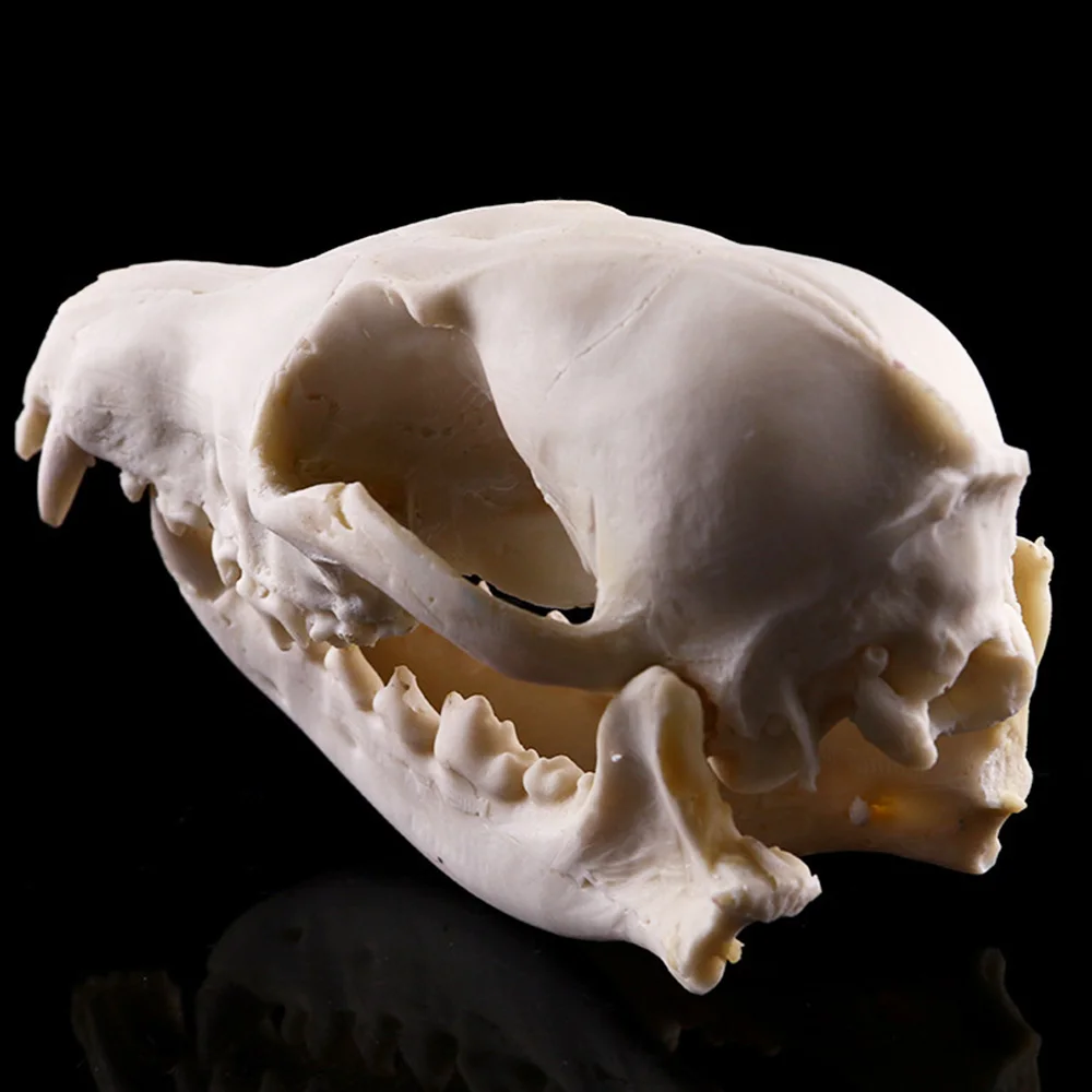 1 шт. смоляная модель животного черепа для аквариума украшения орнамент подводный декор для домашних животных аксессуары для аквариума