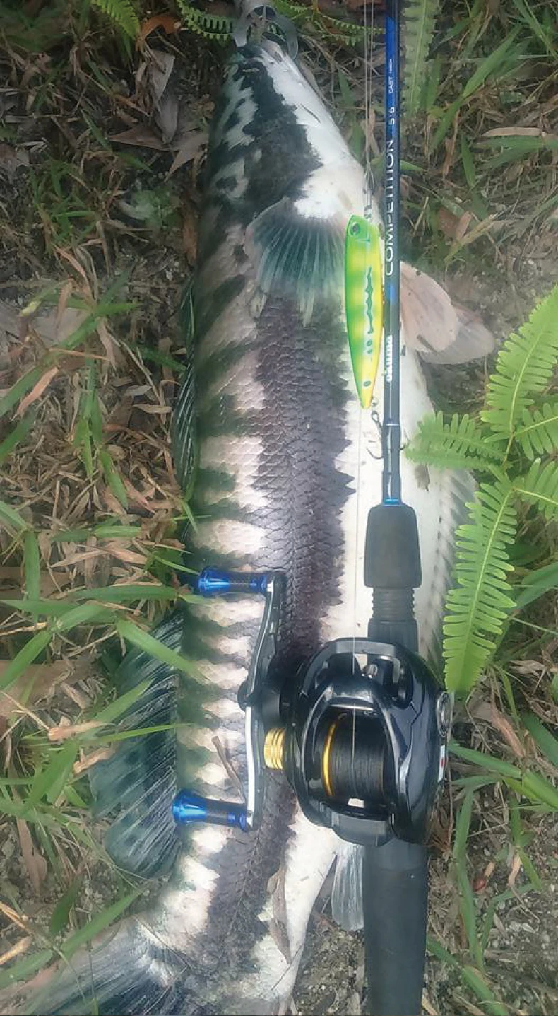 fishing lure