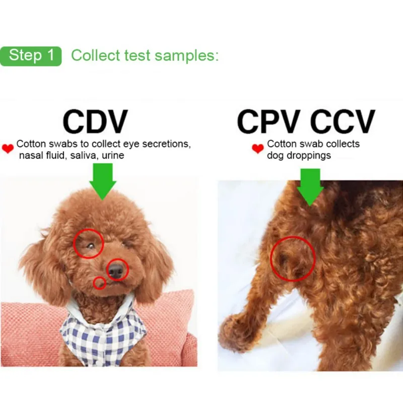 В форме собачки Distemper Virus Cdv/cpv домашний носовой тампон медицинский тест-бумага Tb собака Здоровье Уход Собака Продукты помет Distemper