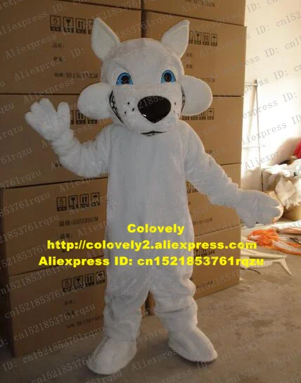 zz6689.1