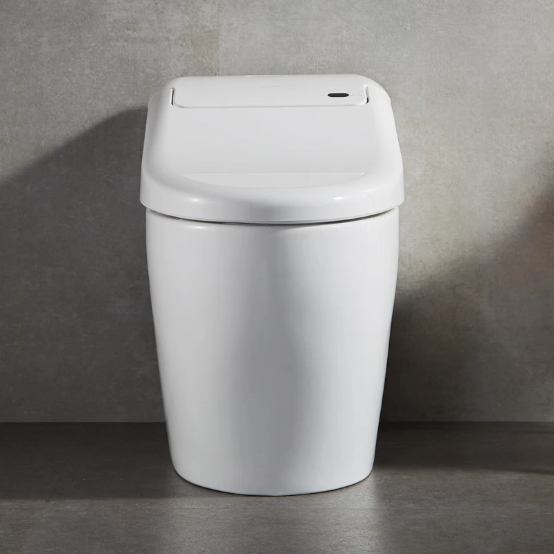 

Fully Automatic Remote Toilet Bowl 2018 New Arrival Hongying Pp Plate Siphon Flushing 3.0-6.0l Floor Mounted Elongated Seat Hea