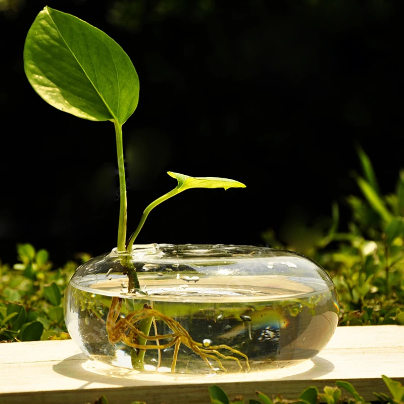 Glass Vase Terrarium Vases Flower Pots Tabletop Glass Candle Modern Vaso Wedding Floor Air Planter Decoratives Vase