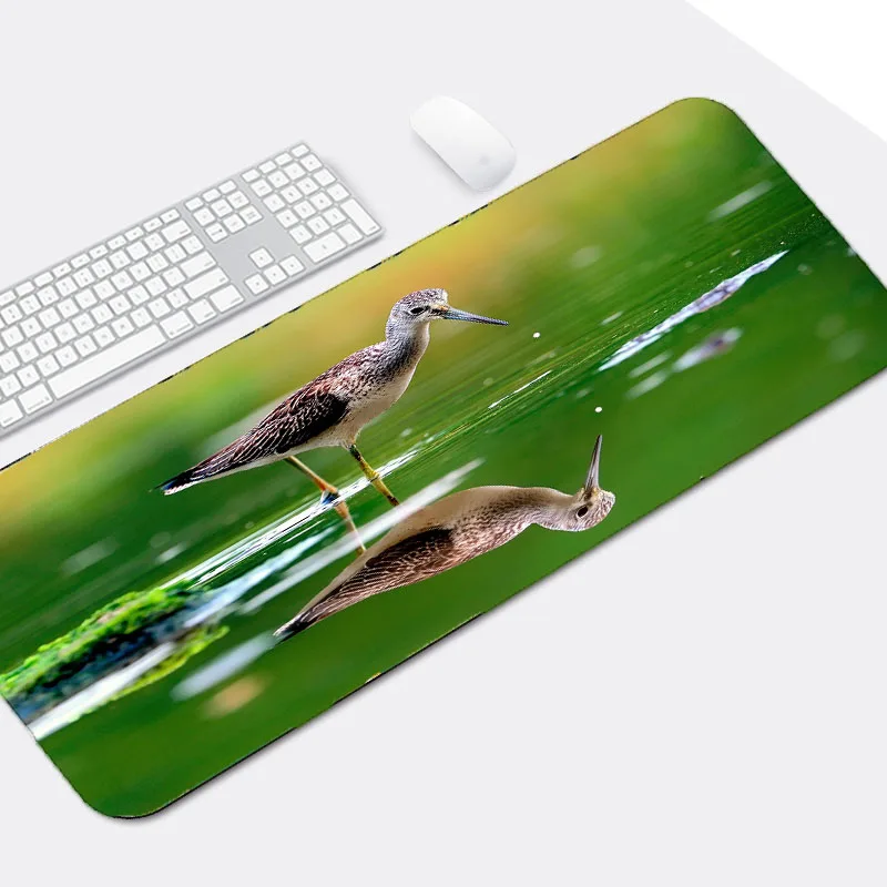 Congsipad красивые животные Коврик для мыши с рисунком орла птицы коврик Размер XL Bige