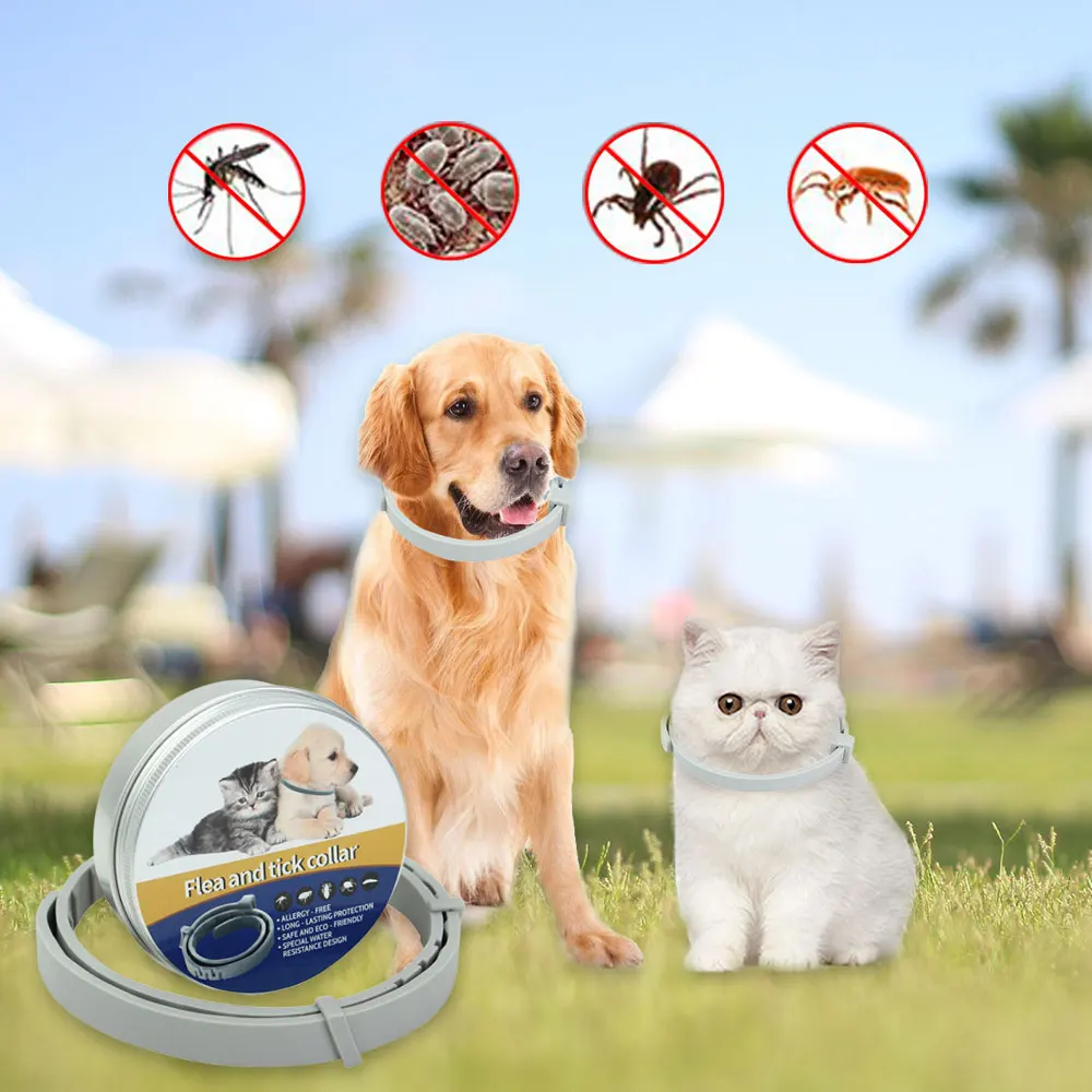 Dog Cat Collar Anti Flea Pet Protection Collar for Dogs/Cats Adjustable Cat Collar Anti-Flea Tick Mosquitoes Pet Supplies Puppy Dog Cat Collar Anti Flea Pet Protection Collar for Dogs/Cats Adjustable Cat Collar Anti-Flea Tick Mosquitoes Pet Supplies Puppy