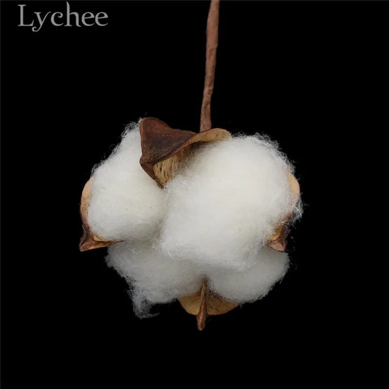 Lychee 10 шт. искусственные Натуральные Сушеные хлопковые Цветочные головки сушеные прессованные цветы DIY ремесла Свадебная вечеринка украшения