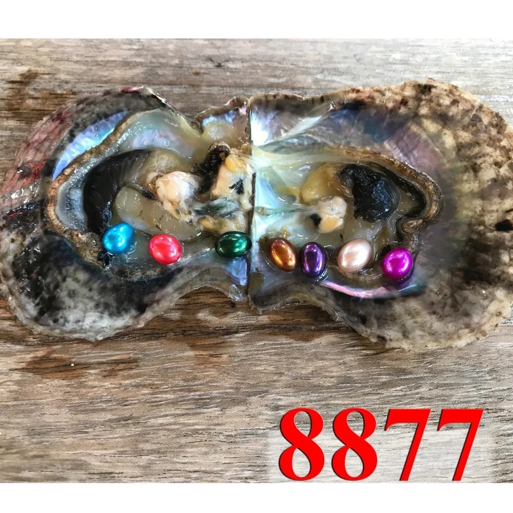 8877