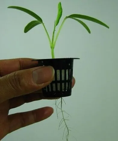 Aeroponics горшок с 15 чистая чашка и портативный подогреваемый раздатчик! 15x горшок с Таймер туман Аэро-горшок Емкость для рассады