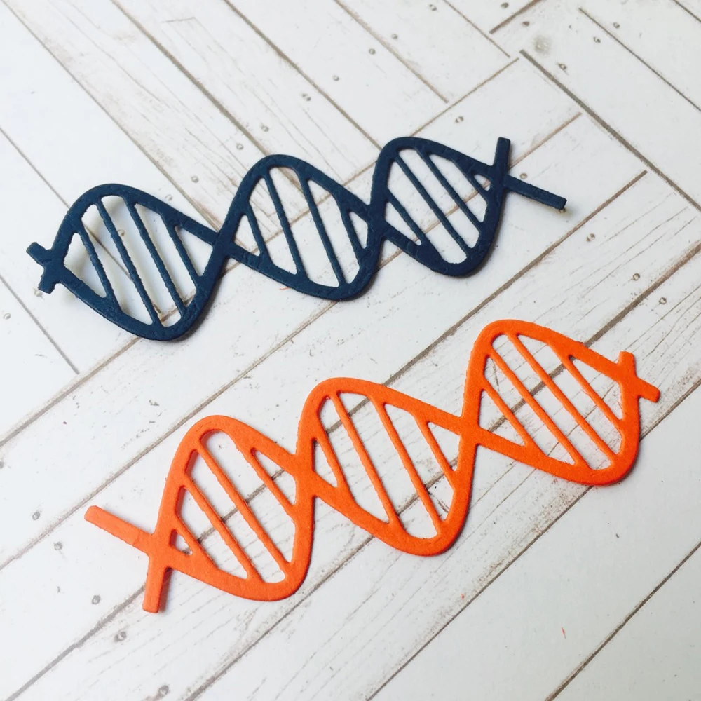 

Human DNA Metal Cutting Dies for DIY Scrapbooking Embossing Stencil Album Card Making Die Cut Craft Template