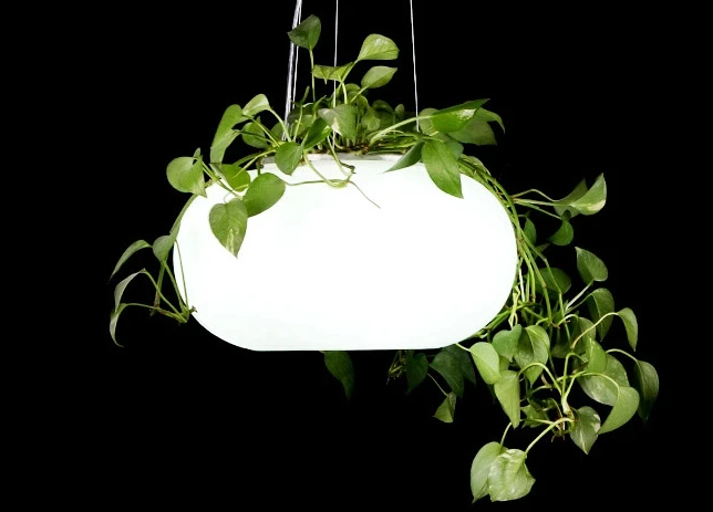 

Pendant lamps garden lights with plants green lights for home decoration flower pots planters modern lights with plants