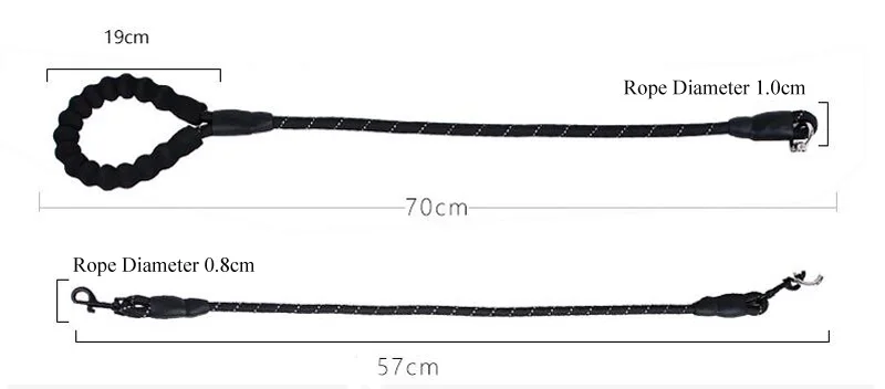 dog lead