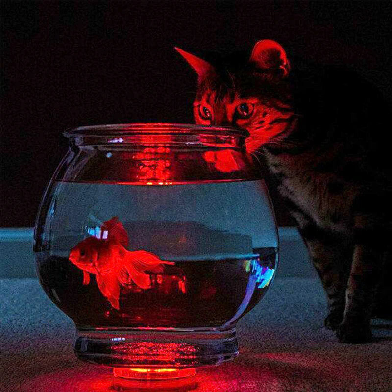 led tank lamps