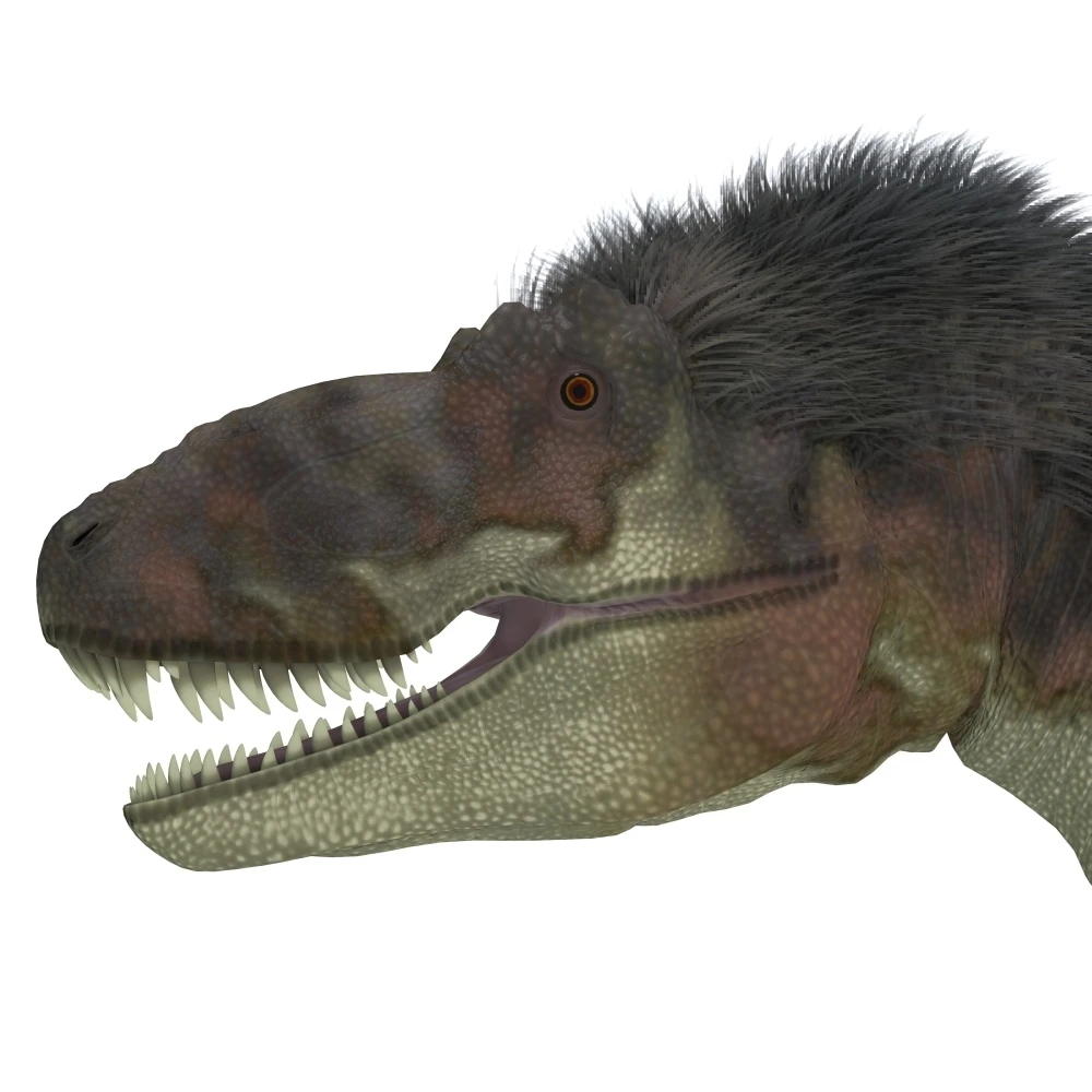 Daspletosaurus dinosaur head Poster Print (28 x 28)