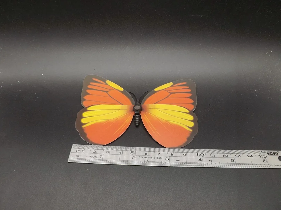 I229-Butterfly (12)