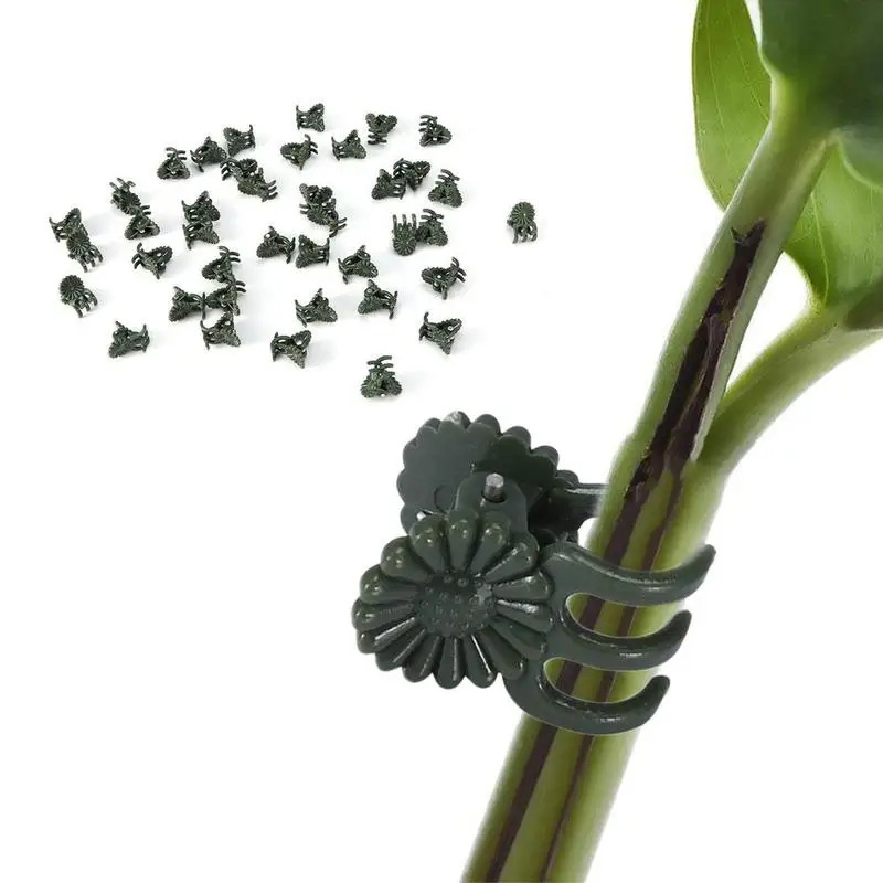 1/10/20Pcs Vine Plastic Clips Hanging Stems Decoration Orchid Stalks Fix Flower Grow Upright Grafting Tool Garden Plant Support