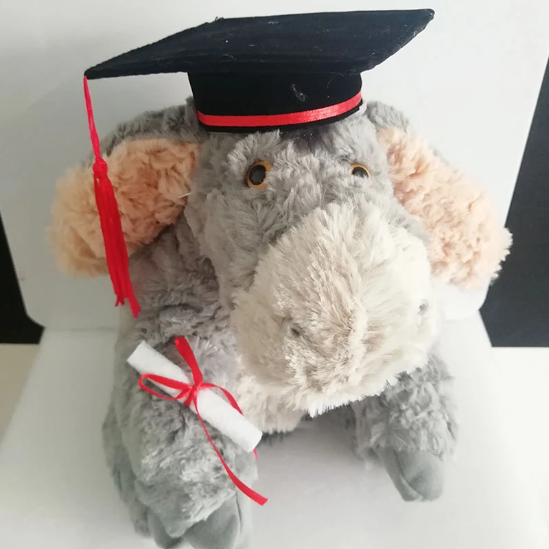 graduation plush animals