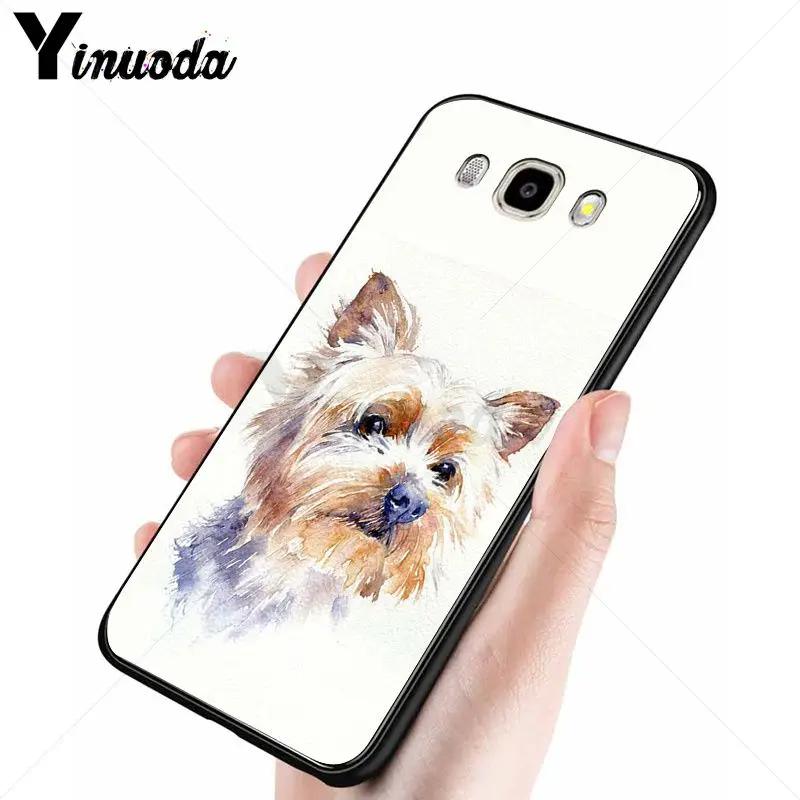 yorkshire terrier dog puppy 